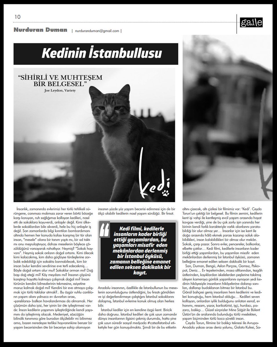 NurduranDuman's tweet photo. KKTC'nin güzide gazetelerinden Yenidüzen'in #Gaile ekinde #kedifilm hakkında birkaç kelam ettim. Meraklısi için buraya düşüyorum. https://t.co/UZHKk05vha