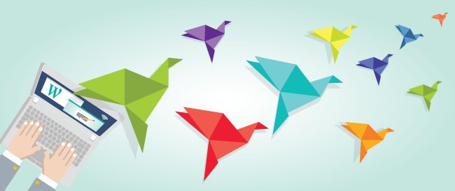 Website Builder tweet media