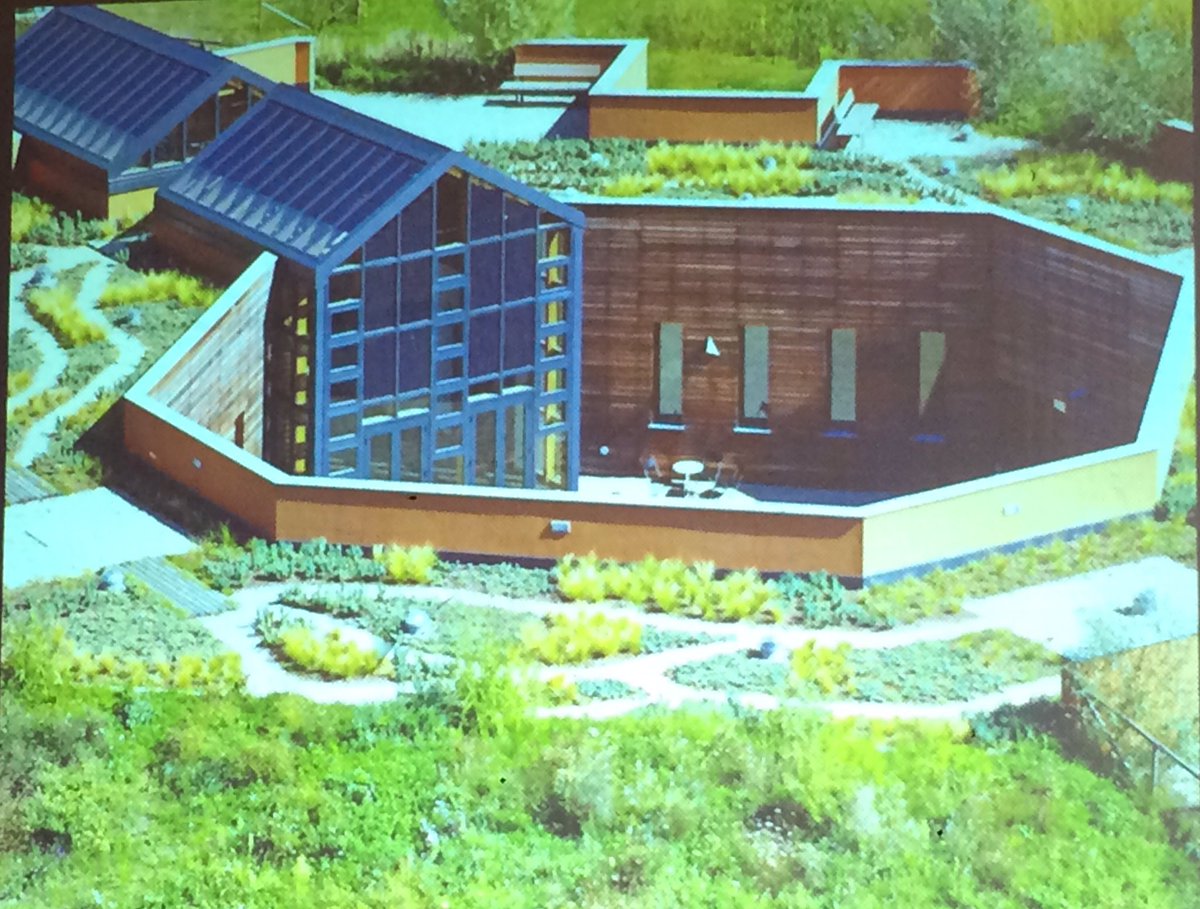 Le piante del giardino del <a href="/PAV_turin/">Parco Arte Vivente</a> non hanno bisogno di irrigazione #sostenibilità #inclusione #summerSchool #LeFattizze #biodiversità