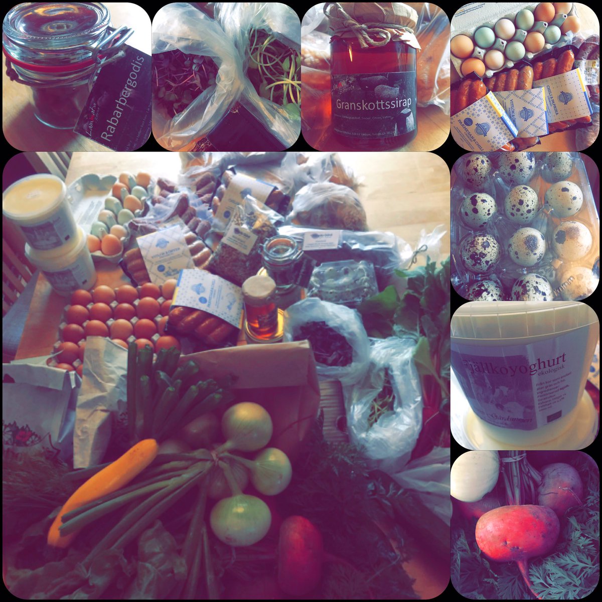 BergneJessica's tweet photo. Reko-ring Skara! Jisses vad Bäst! Hurtbulle, rabarbergodis, nöt/lamm-korv, granskottssirap, honung, fjällkoyoghurt, polkabetor #rekoring https://t.co/YnZY7XHKt1