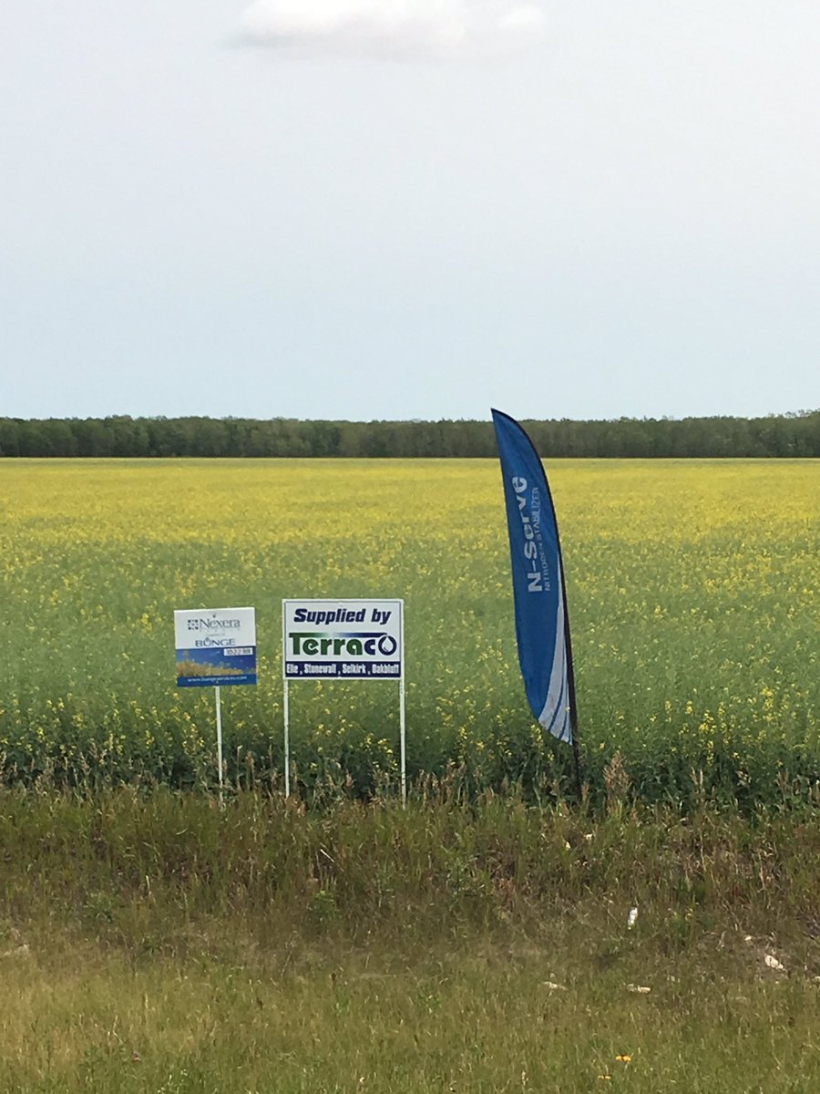 Jereme Dutka tweet media