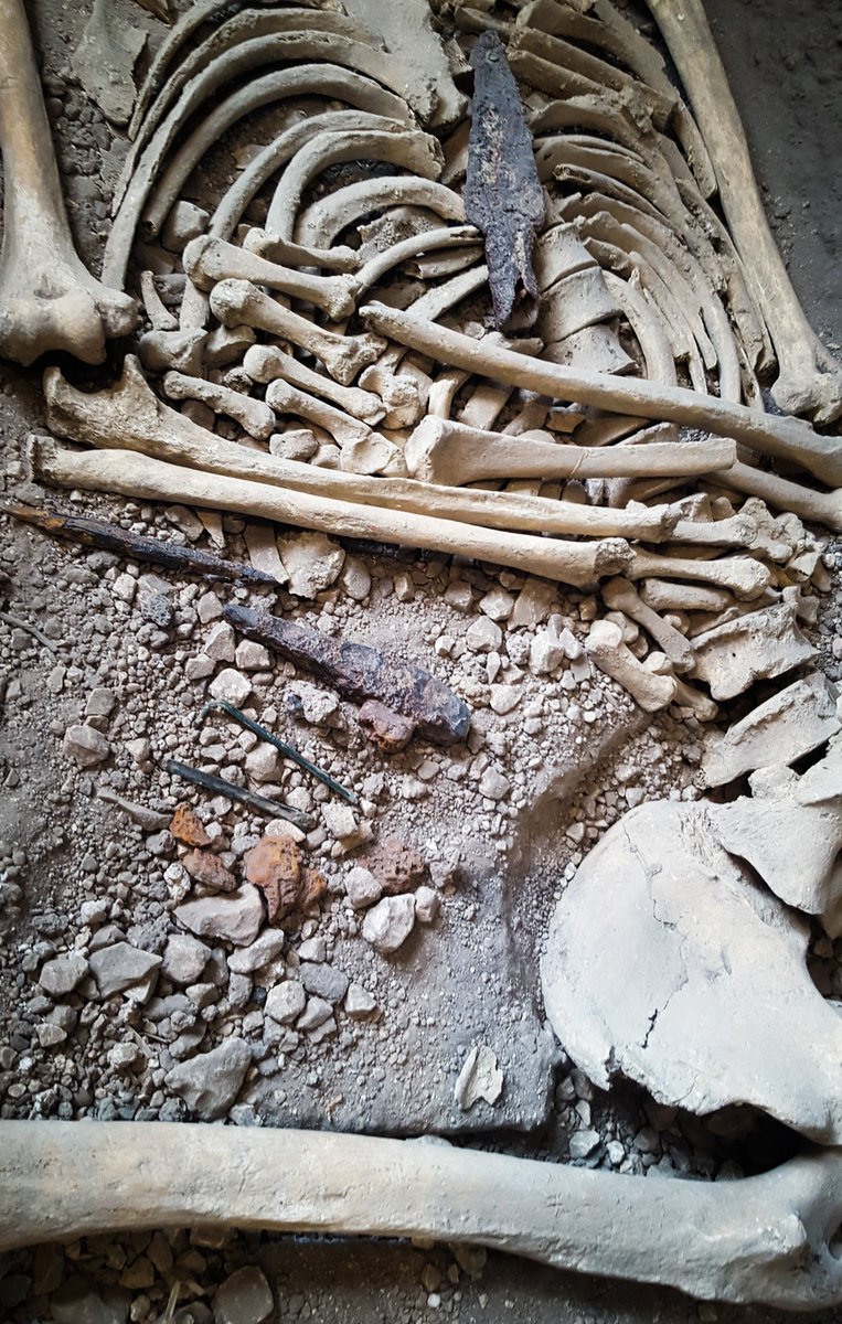 davidgoulden's tweet photo. The #Whitcombe Warrior remains being prepared for washing by Dr. Clare Randall @DorsetMuseum, for the festival of #Archaeology #Dorset. https://t.co/tbtvfE22eb
