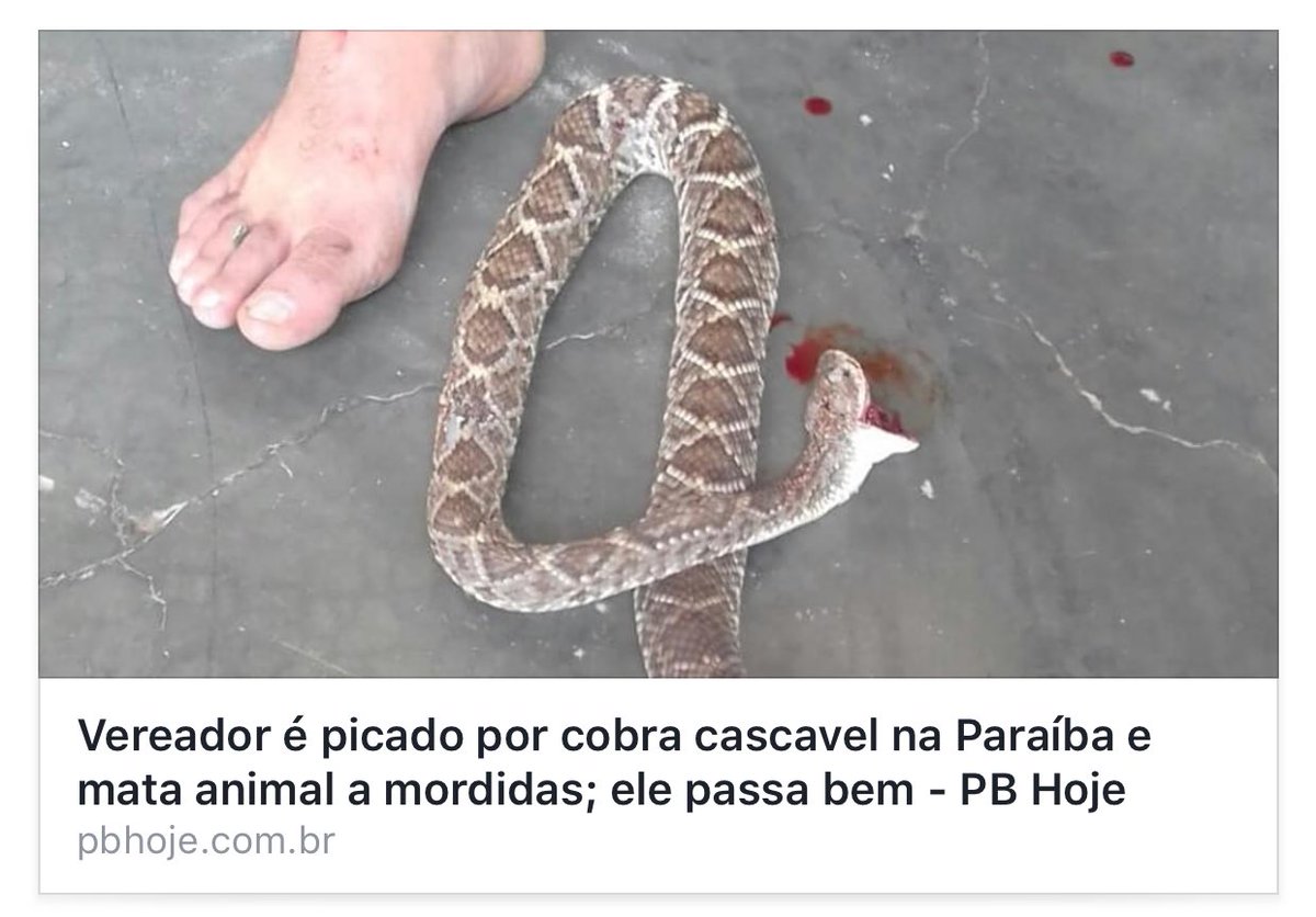 umvicente's tweet photo. bem vindo ao BRASIL           

-- ＲＥＧＲＡＳ--

ᶰᵃᵒ ᵗᵉᵐ  ʳᵉᵍʳᵃˢ https://t.co/BsECKdelRe