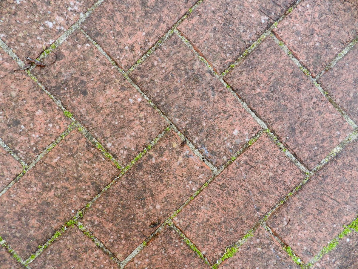 valejetclean's tweet photo. Another transformed #driveway in #Penarth. Call #ValeJetClean for you free no-obligation #jetwash quotation on 02920 700571 or 07767310618 https://t.co/vNMeJnaLqU