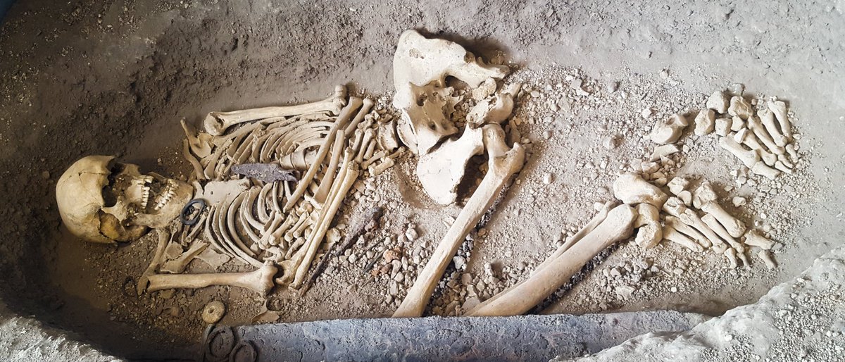 davidgoulden's tweet photo. Up close to the #Whitcombe Warrior remains @DorsetMuseum, for the festival of #Archaeology. A rare privilege #History #Heritage #Dorset. https://t.co/c934GjRwfB