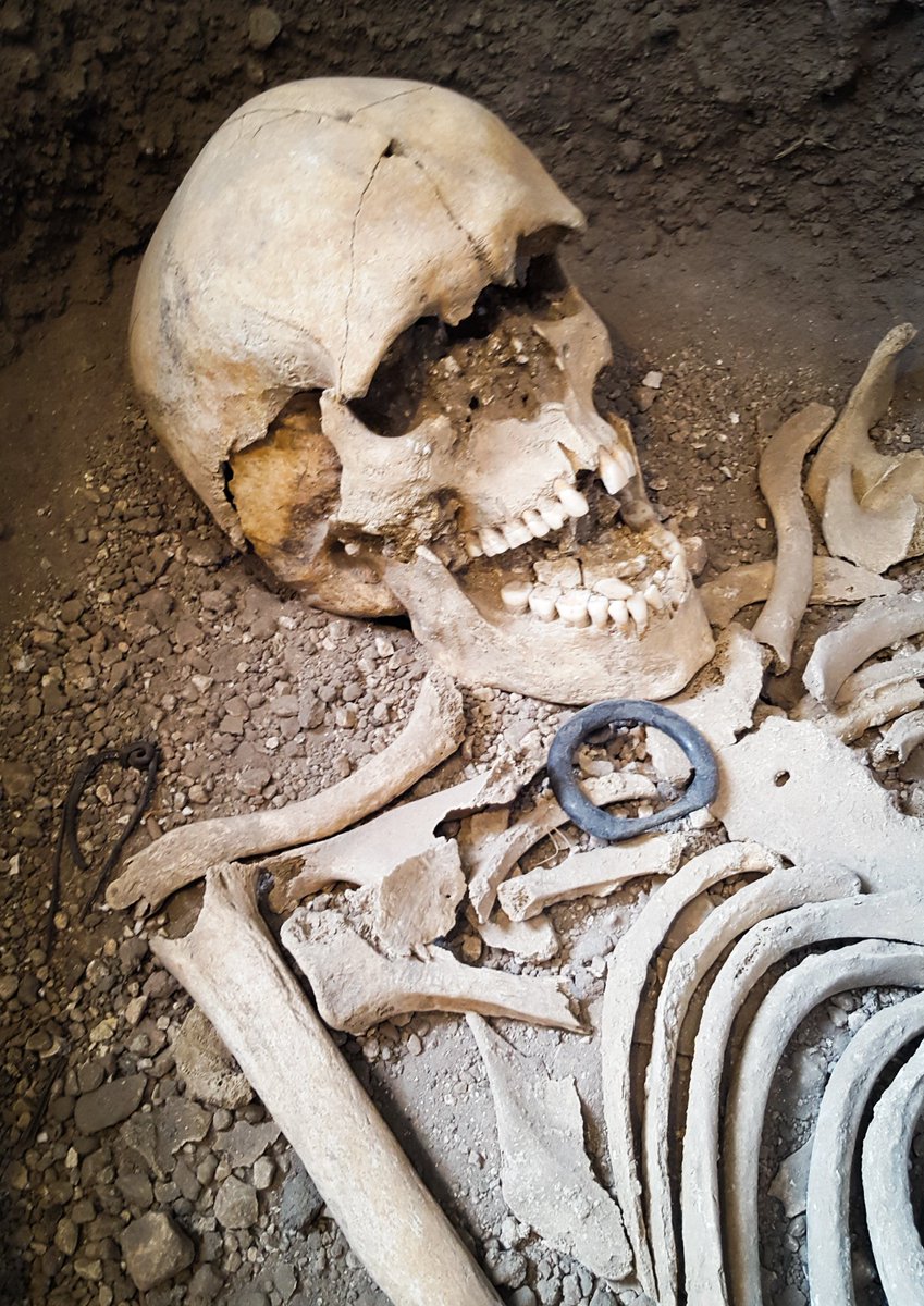 davidgoulden's tweet photo. Up close to the #Whitcombe Warrior remains @DorsetMuseum, for the festival of #Archaeology. A rare privilege #History #Heritage #Dorset. https://t.co/c934GjRwfB
