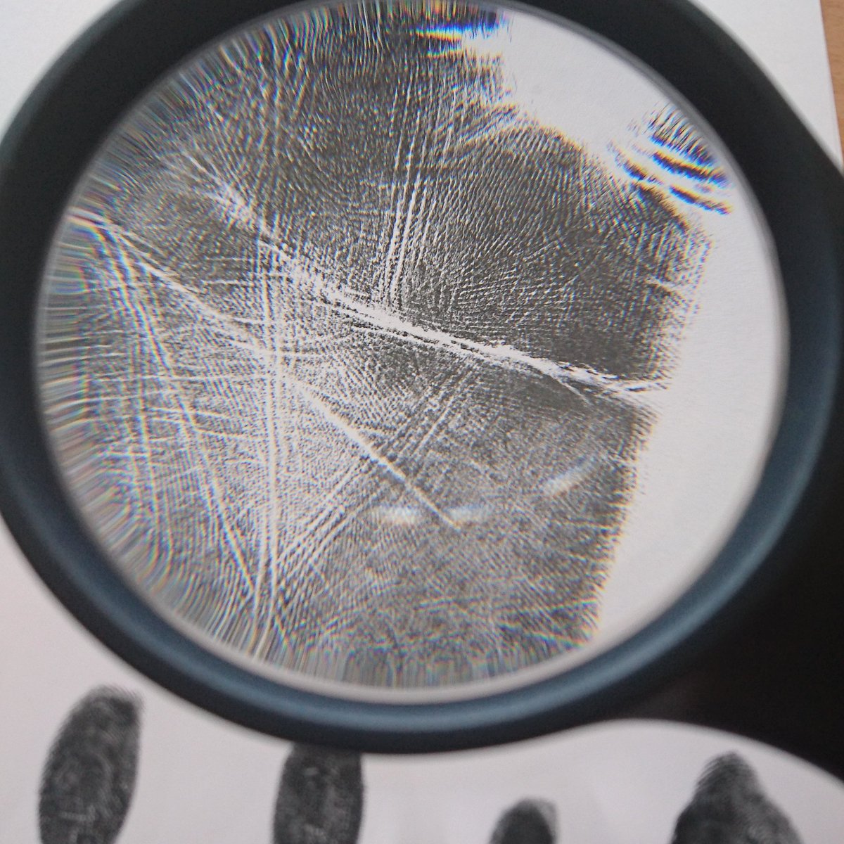 AnuradhaKowtha's tweet image. The connection between your brain's neural networks and your hand gives us a road map to your life's work. 
#scientifichandanalysis