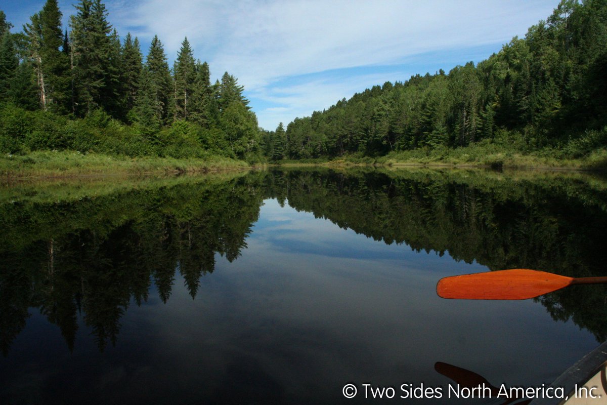 TwoSidesNA's tweet photo. Have 90 seconds to learn about #CarbonNeutrality? This video gives a quick explanation: https://t.co/YsZXqdiKVM #paperfacts #forestfacts https://t.co/gs3y9L9ZRp