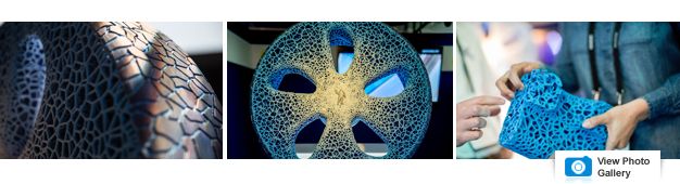 Lee-Bath Nelson tweet media