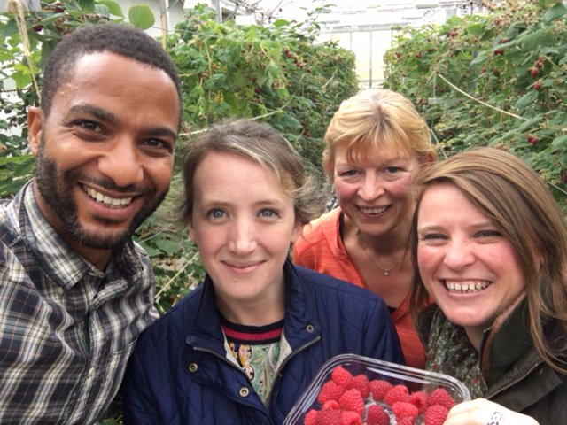 TheAHDB's tweet photo. Berries from our #berrybreeding trials are easier to pick &amp; have higher yields, but importantly also taste great!  https://t.co/VeFnqmzJ45 https://t.co/7LMGCRpDXY