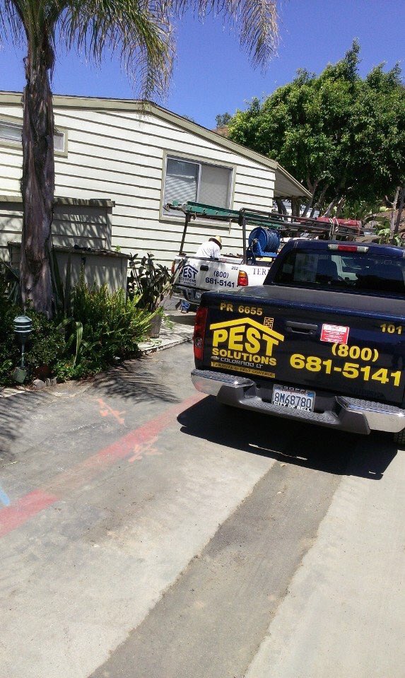 pestsolutions_'s tweet photo. Complete subterranean barrier treatment for subterranean termites eradication. #subterraneantermites #termitecontrol https://t.co/BafhTBaVXv