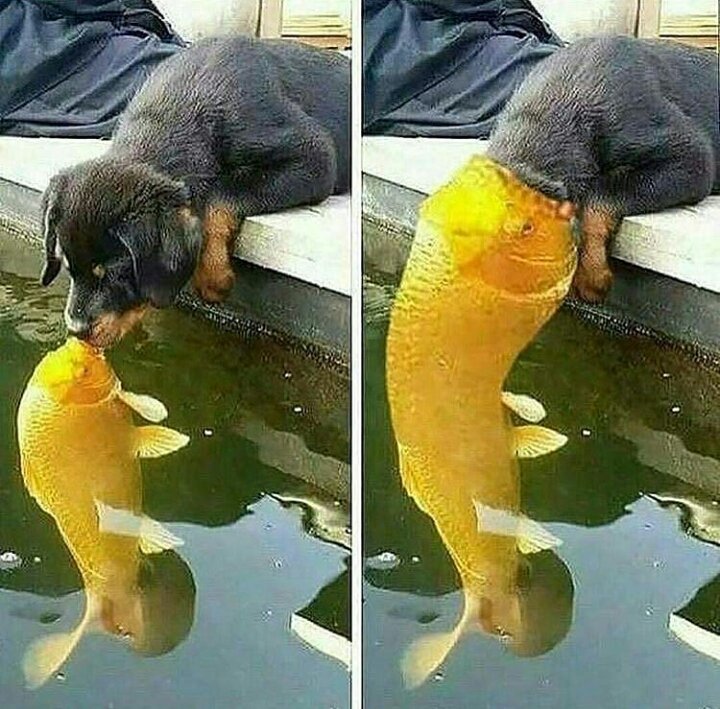 Feliperrin_'s tweet photo. Jajajajaja https://t.co/XWCWRYjoP4
