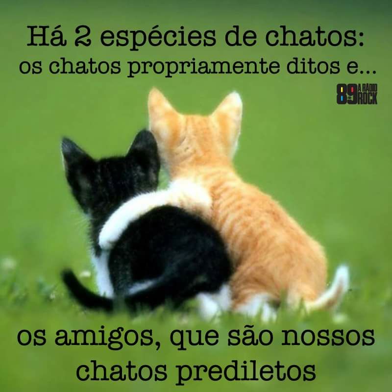 ana Souza @TimBeta (@anaartiecle) on Twitter photo 