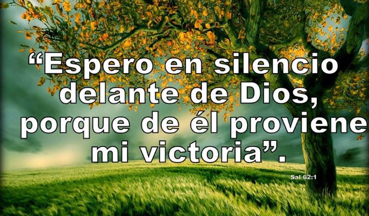 qjesicajq's tweet photo. En ti espero🙏... https://t.co/aTPwX71Wlw