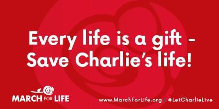 sflofMass's tweet photo. #IamCharlieGard #Charliegard #CharliesArmy #CharlieFight #IStandWithCharlieGard @sflofMass #savecharliegard #LetCharlieLive @Students4LifeHQ https://t.co/0hqgRpmtGw