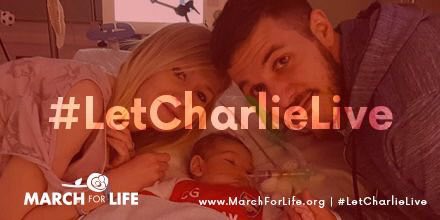 sflofMass's tweet photo. #IamCharlieGard #Charliegard #CharliesArmy #CharlieFight #IStandWithCharlieGard @sflofMass #savecharliegard #LetCharlieLive @Students4LifeHQ https://t.co/0hqgRpmtGw