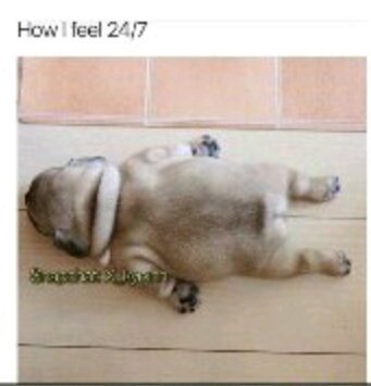 UserNathaniel's tweet photo. This really is how I feel every day https://t.co/0ss338Z7Dz