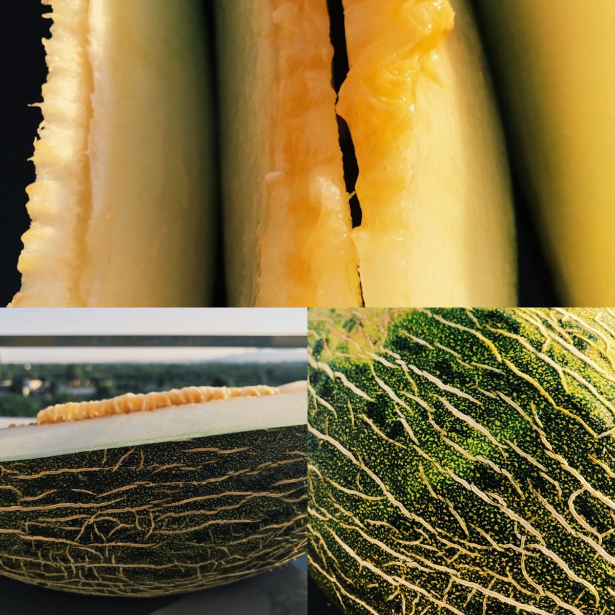 🍉 #Melons and water melons from #Xilxes, #Moncofa, #Nules, #Almenara 🔝are such a refreshing delicacy! #slowlife #beaslower #slowfood #fruit