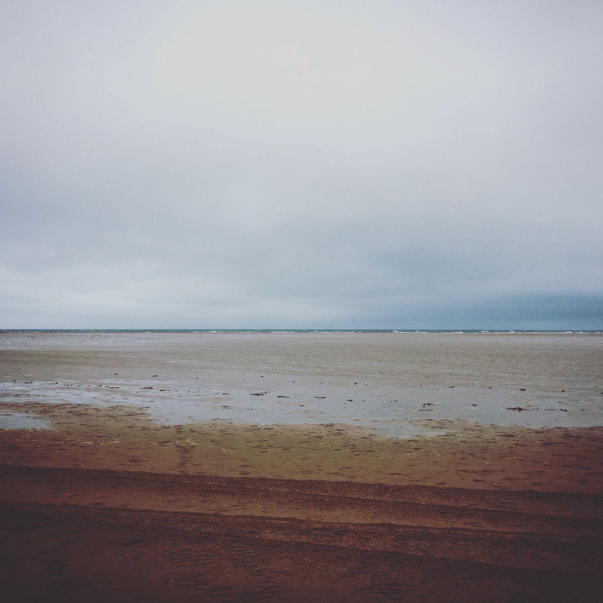 InkedLizdizzle's tweet photo. Awesome day volunteering At Holkham #HolkhamHall #volunteerday #beachclean https://t.co/ow6d5lVxtK
