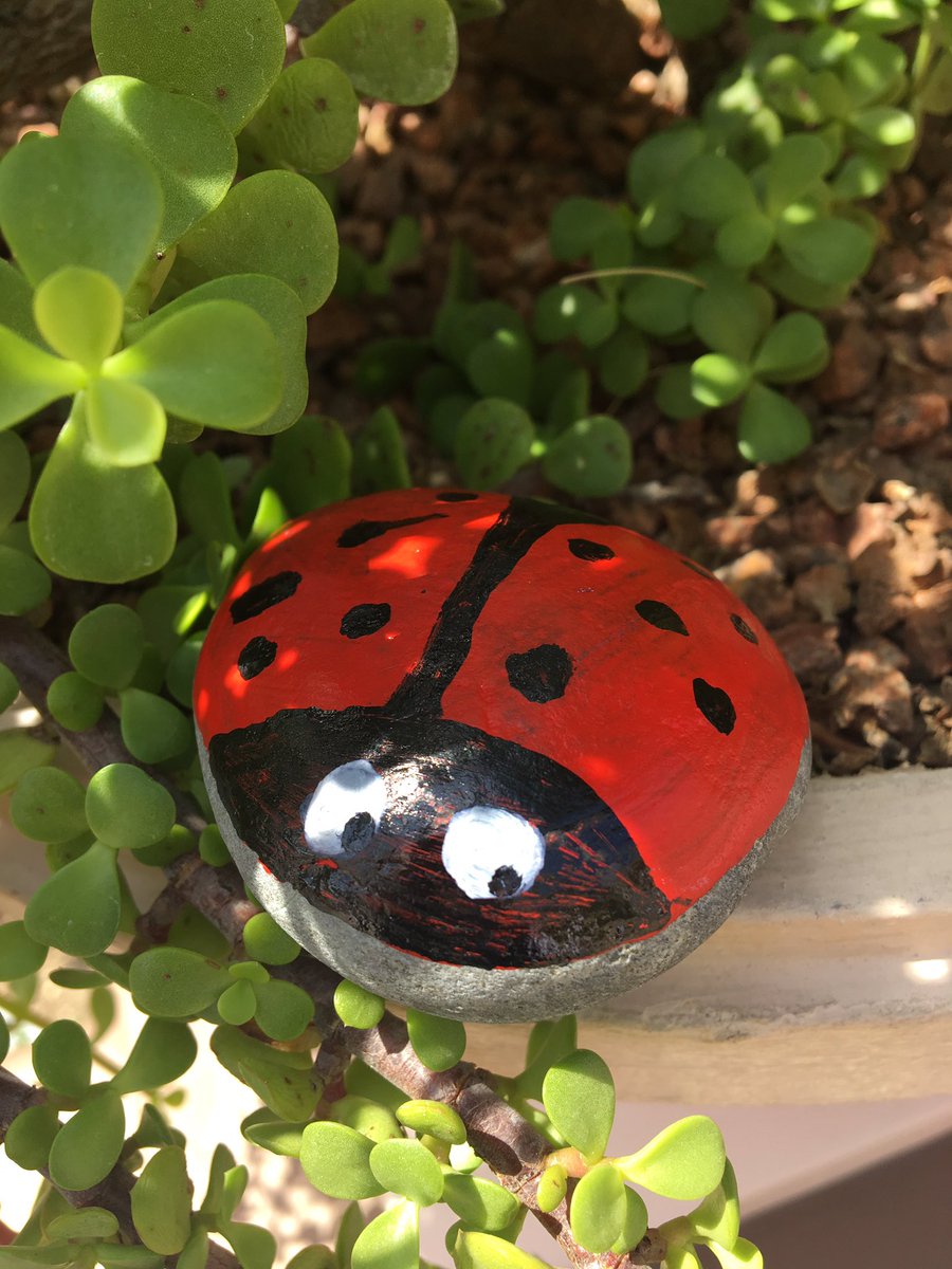 LaceySpaceCasey's tweet photo. Some more rocks placed around Vegas, Be Kind &amp; Rock On #vegasrocks #luckandkindness #celebrate #spreadingkindness #bekindrockon https://t.co/ClS3OlqcZA