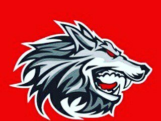 phxazwolves's tweet photo. #WestValleyWolves @phxazwolves https://t.co/hktgtBrfQU