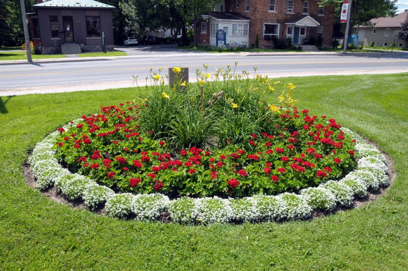 Vimy oak trees planted in Cornwall bit.ly/2tEz5RY #CornwallON #Vimy #Oak #Trees #horticulture #Canada150 https://t.co/xTr5K7qOk8