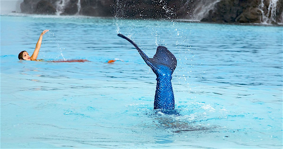 sirenas_academy's tweet photo. El mejor sitio para que una sirena baile!!!!!
#sirenasacademy #sirenas #eventos #mermaid #mermaidevents
https://t.co/C09GD78201 https://t.co/Ng62lfhoTB