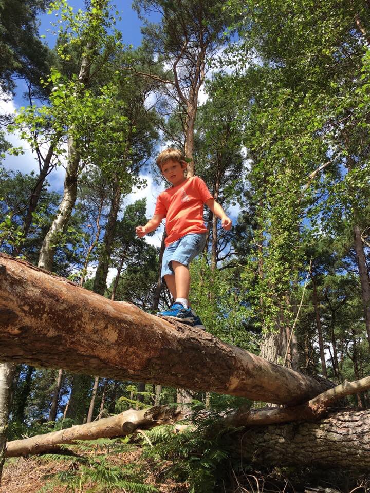 TeamJenxy's tweet photo. #greatstorybookadventure at beautiful Brownsea Island. Brilliant trail to get the little legs walking around @Brownseablog Thank you! https://t.co/cewu0BzSHz