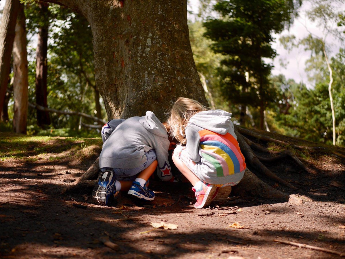 TeamJenxy's tweet photo. #greatstorybookadventure at beautiful Brownsea Island. Brilliant trail to get the little legs walking around @Brownseablog Thank you! https://t.co/cewu0BzSHz