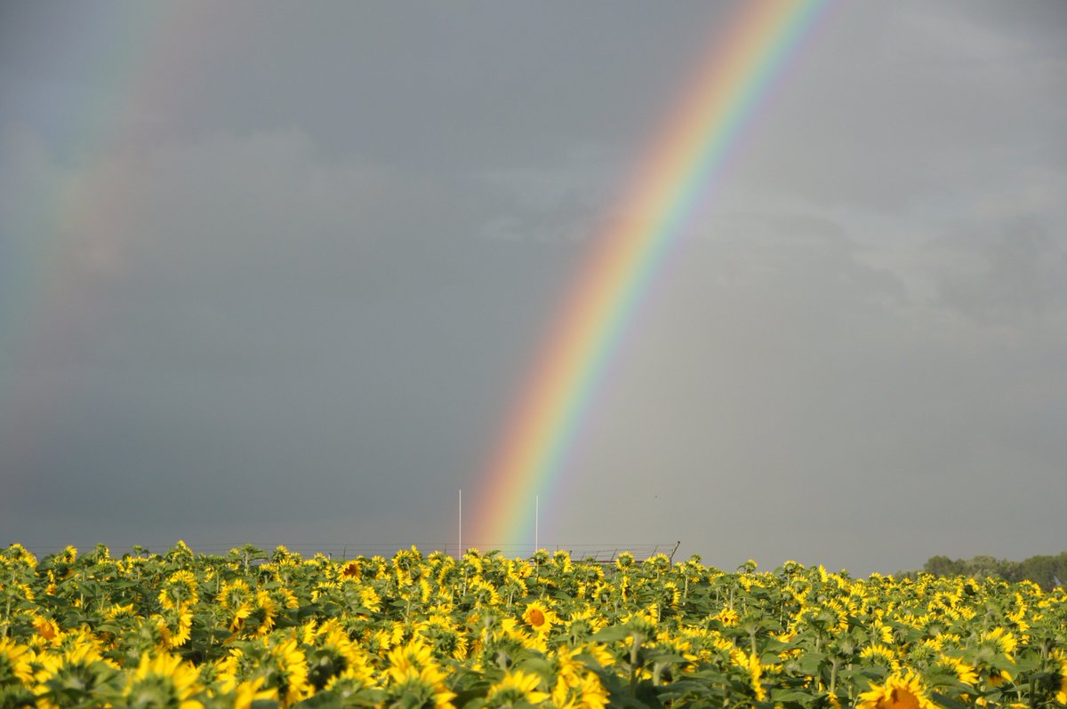 Soms moet je naast de locatie ook geluk hebben met het moment....Kreupeleweg, Klaaswaal
