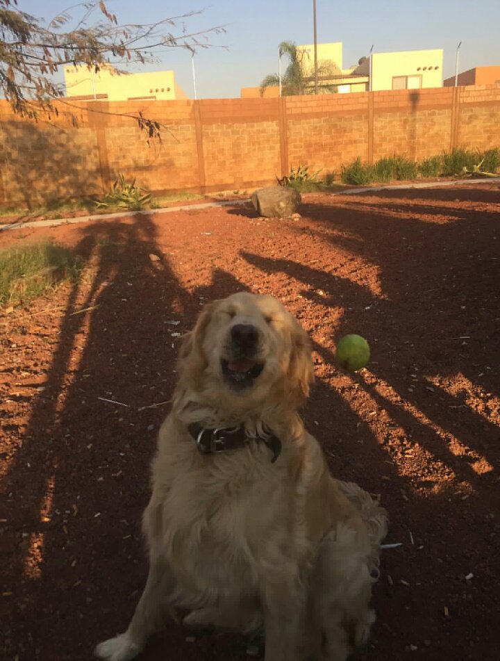 yo pensando que por primera vez me va a ir bien en algo / cinco minutos después