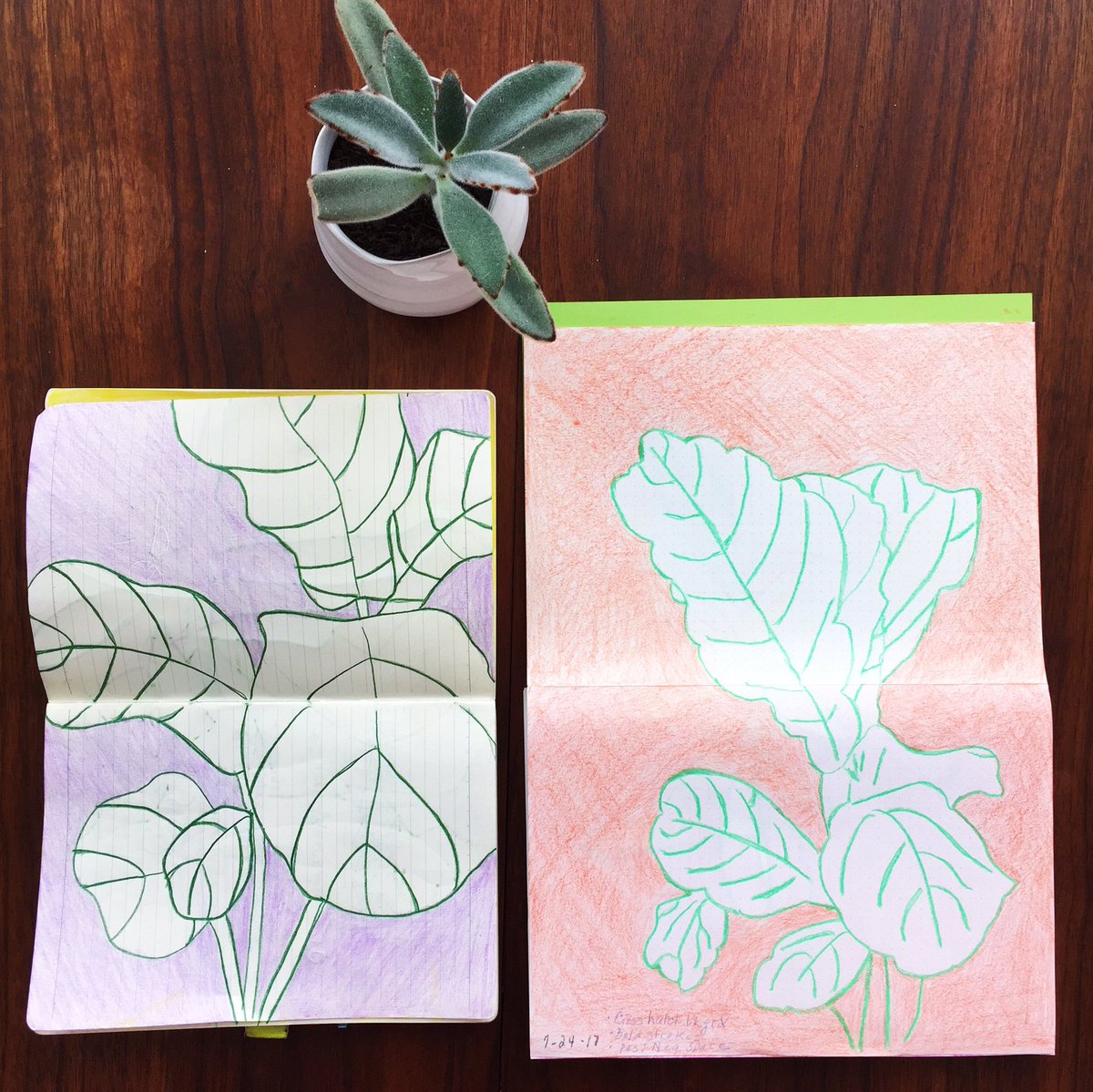 juliaparris's tweet photo. Contour line drawing with my mom this morning as it rained outside ❤️
#MakeMore #RestMore #art https://t.co/ZgFupoxYTN