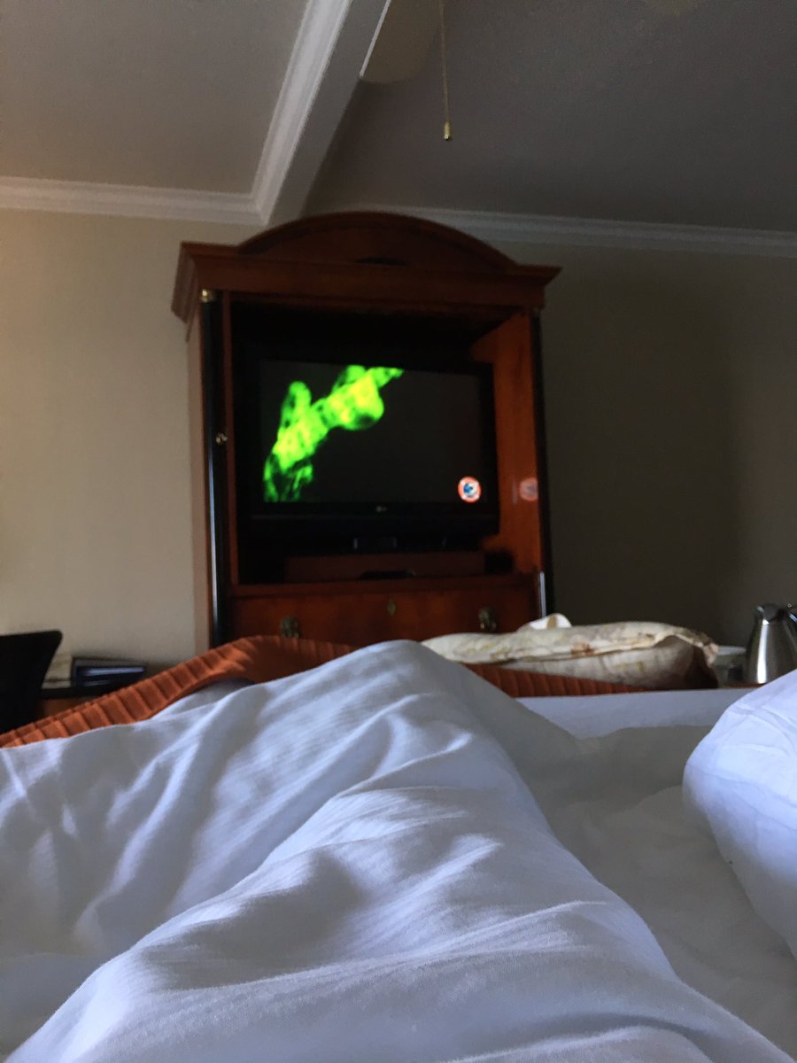 ThisDavidGuy's tweet photo. Shark week is gnarly https://t.co/QZMfsJveHy