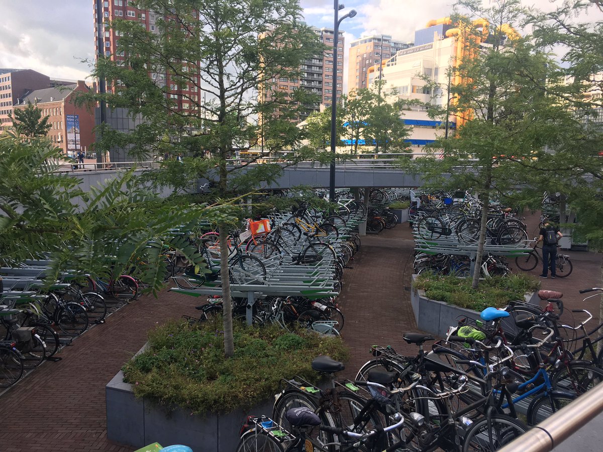 TTP Consulting tweet media