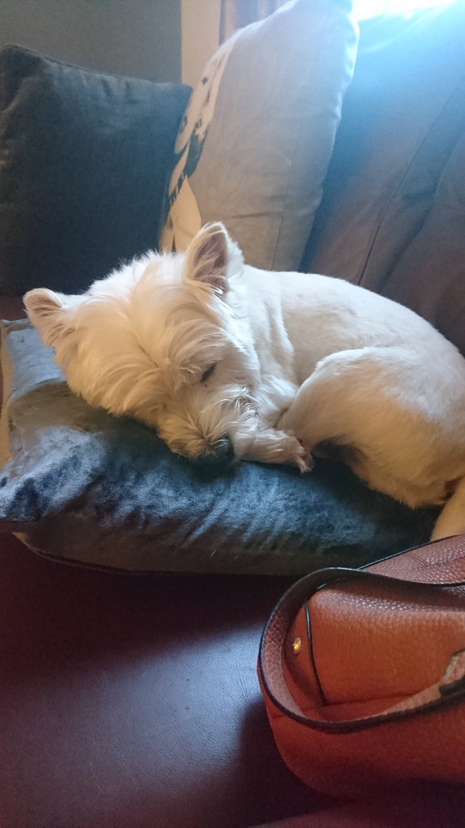 smith_dawwizer's tweet photo. @keeley1982sands  fanks for today I'm exhausted now 😁 https://t.co/A5MZVYym2Y
