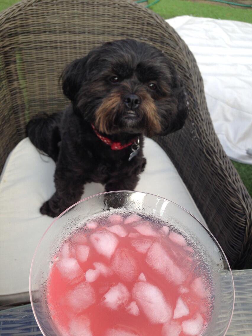 Bollidog's tweet photo. Hi #lincshour mum @NinaStobart is on the treadmill ... honest, but I like cocktail gardens and pork scratchings! https://t.co/en5M24JnLS