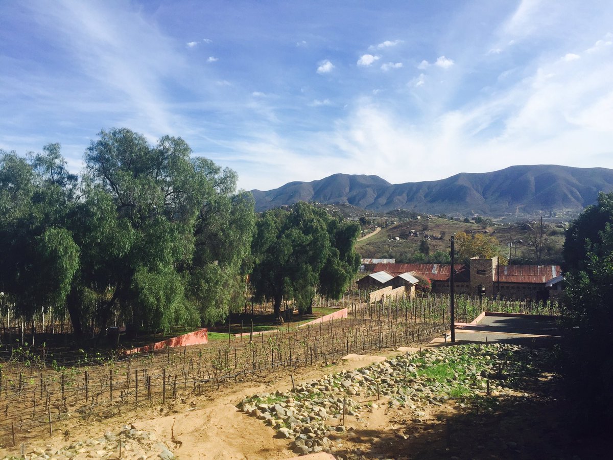 _VYVA's tweet photo. Feliz lunes de Casa de Piedra! https://t.co/Ld0A17otzZ