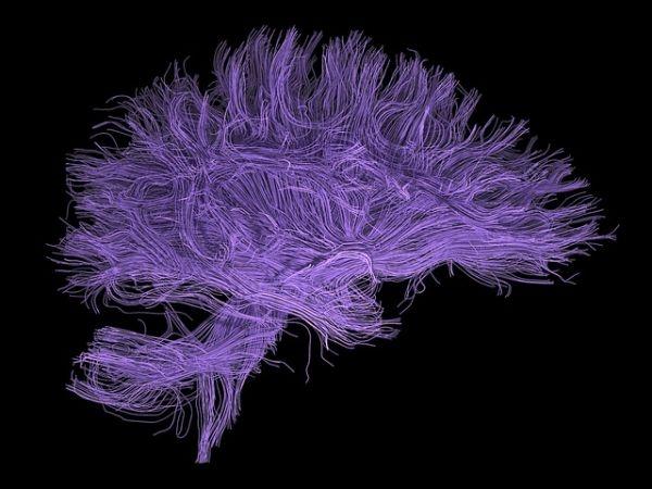This Is Your Brain On Drugs: How Science Explains Addiction bit.ly/2utHnta https://t.co/U66FAN09Zf