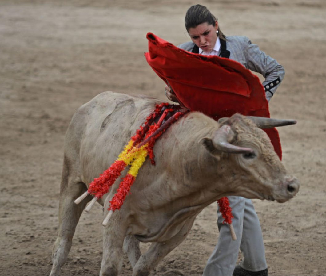 Gracias Alcudia( Mallorca) por el trato recibido tanto a mi como a mi gente a sido un placer y espero volver pronto GRACIAS POR TODO