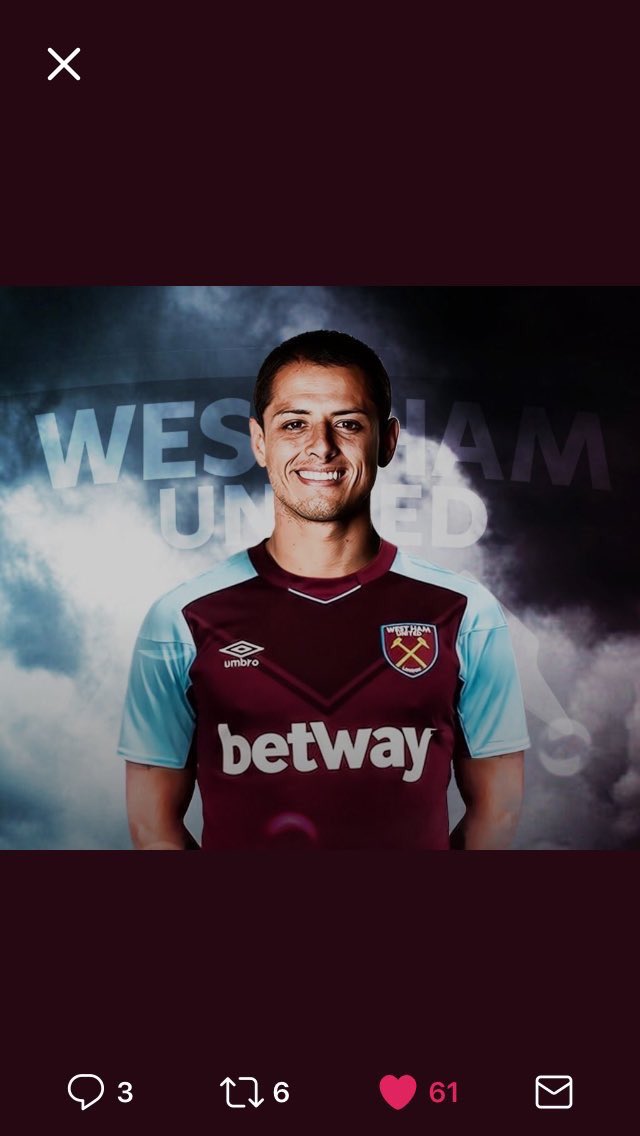 David Gold tweet media