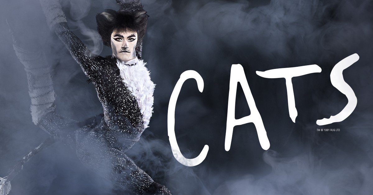 broadwaybounddd's tweet photo. Watch Tyler Hanes go backstage with #CatsBroadway! - https://t.co/baOxTtDsJG https://t.co/KaucAJDuyN