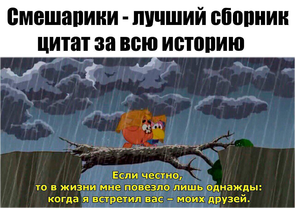 Повезло встретить тебя. Цитаты из мультиков. Смешарики философия жизни. Фразы из смешариков. Цитаты из смешариков.