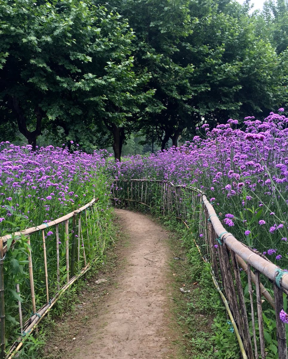AutonomousTent's tweet photo. When you stumble upon a trail like this, take it! #autonomoustentlife #beautifulwalk https://t.co/3zRaFI4DRF