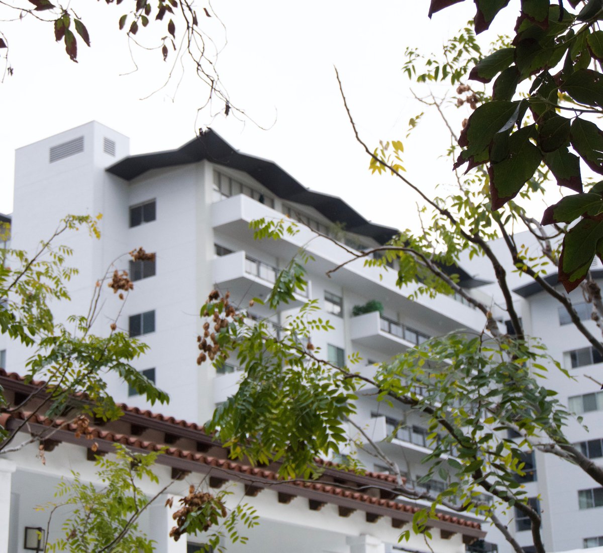 Don’t miss out on our seasonal Californian menu and garden setting.