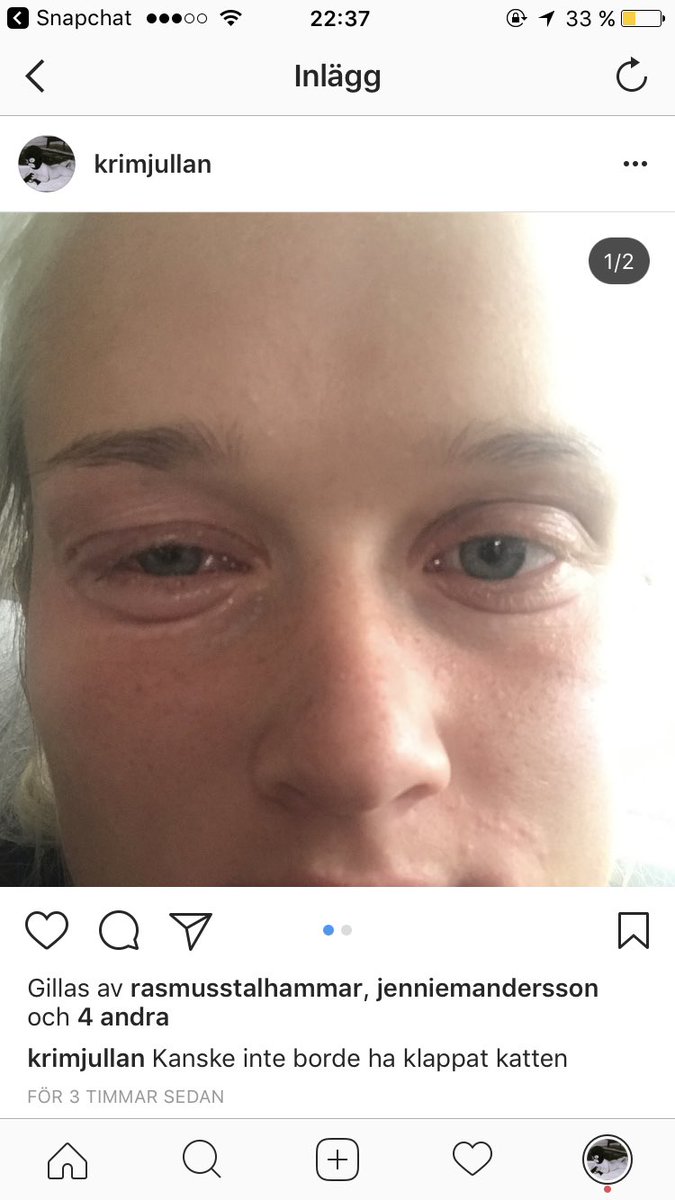 Varma öl och kalla element tweet media