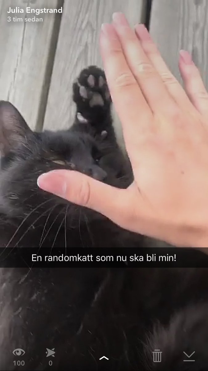 Varma öl och kalla element tweet media