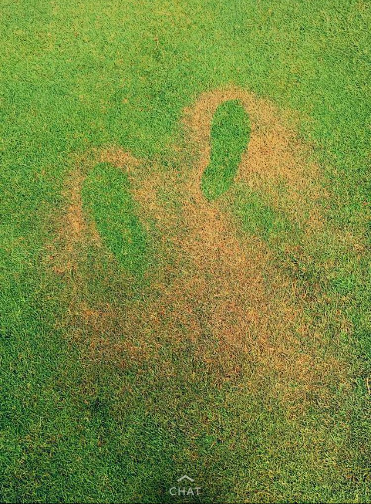 RutgersTurfClub's tweet photo. When a golfer decides it's a good idea to put sunscreen on in the middle of the fairway...@SuperProblems https://t.co/JBI43JPnFq