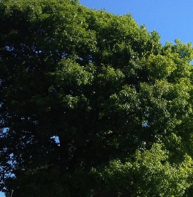 DanceCompResult's tweet image. Ovation @Ovationdc Dance Challenge Results from Altoona IA #Altoona #OvationDanceChallenge #Competition #Dance #Iowa
dancecompetitionresults.com/ovation-dance-…