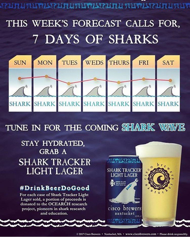 Bhicks_PDX's tweet photo. #SharkWeek #SharkReport #7DaysOfSharks Stay Hydrated, Grab a #CiscoBrewers @Shark_Tracker 🍻🤗 https://t.co/2ocqztOtm8