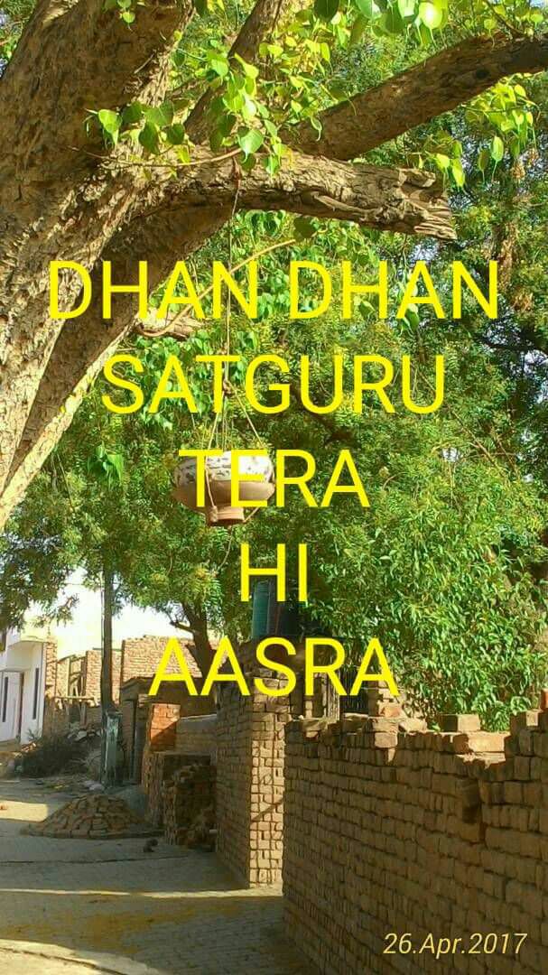 RamanBr99206063's tweet photo. @Gurmeetramrahim #FreeMeditationProgram https://t.co/GTdP18xTlM